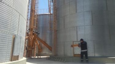 Contrabando de granos en la zona: AFIP evitó maniobras de evasión con más de 2.000 toneladas