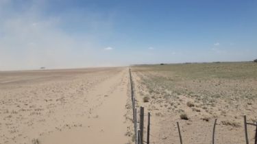 Patagones: La Provincia declaró la emergencia y desastre agropecuario por sequía