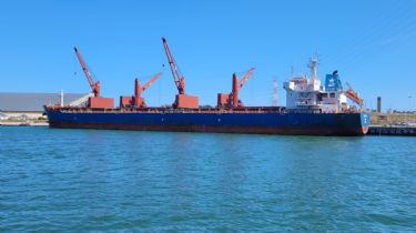 Gran rotación de buques en Puerto Quequén: Superó las seis millones y medio de toneladas