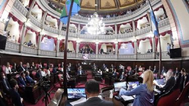 El Senado bonaerense aprobó la ley de alcohol cero al volante: Cuáles son los puntos centrales y las sanciones