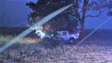 Despiste fatal en la Ruta 78: Un hombre murió al chocar contra un árbol cerca de Monte Hermoso