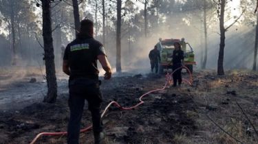 Arenas Verdes: Quemaba pastizales y provocó un intenso incendio que arrasó con más de 15 hectáreas de monte
