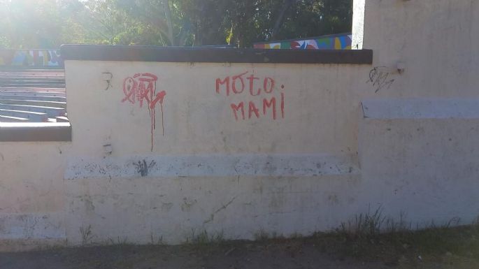 Causa penal por una pintada: "Parece que la única pintada que molesta es la de Tehuel"