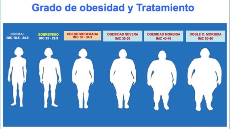 Día mundial contra la obesidad: De una cuestión de salud a la gordofobia