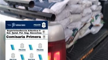Desbarataron una banda que robaba cereales en Necochea: Secuestraron granos por más de 30.000 dólares