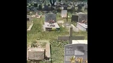 Fuerte reclamo por el estado de abandono en el Cementerio: Medio metro de pasto entre las lápidas