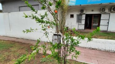 Puerto Quequén planta 101 árboles celebrando sus 100 años