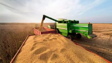 Más control sobre los productores: Deberán informar dos veces al año el volumen de producción de granos