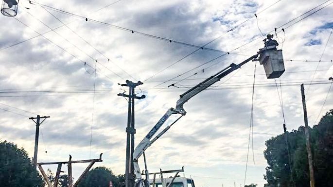 Corte de energía programado por poda y mantenimiento en 300  manzanas de la ciudad