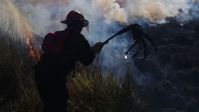 Incendio en el Parque Miguel Lillo: Dos dotaciones de bomberos contienen las llamas frente a Karamawi