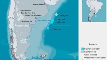 La exploración petrolera frente a las costas de Necochea traería consecuencias irreversibles para las ballenas francas