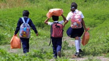 Instituyen el 12 de junio como el Día contra el Trabajo Infantil