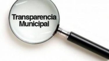 Transparencia 0: Desaparecieron 16 decretos y 7 resoluciones de la web de la Muni