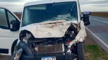 Ruta 228: Comisionista chocó a una vaca suelta y la mató