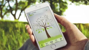 Lanzan una app para el cuidado del medio ambiente en Tres Arroyos