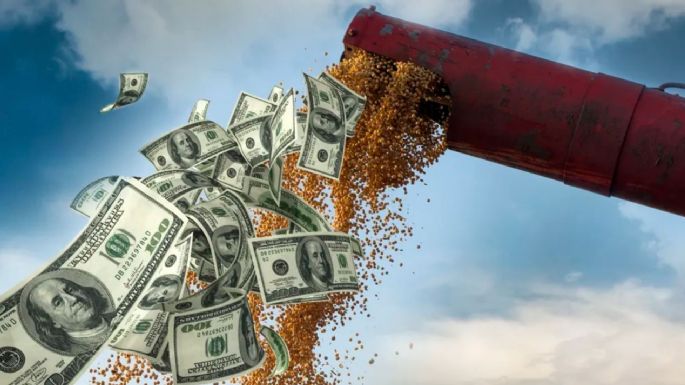 Dólar soja: Bancos ya ofrecen el nuevo régimen de liquidación del grano