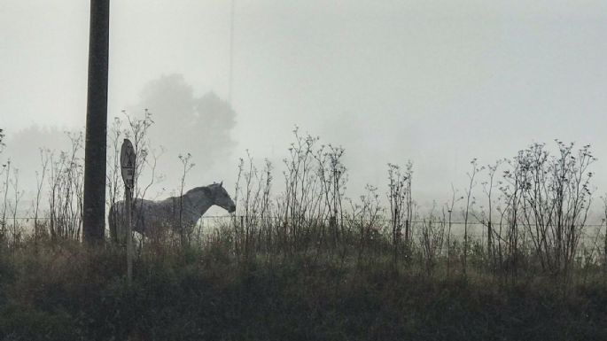 El clima en Necochea este jueves 06-07: Amenecer con neblina y 12° de máxima