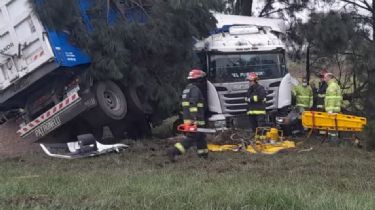 Ruta 226: Camionero herido tras despistar y chocar contra árboles