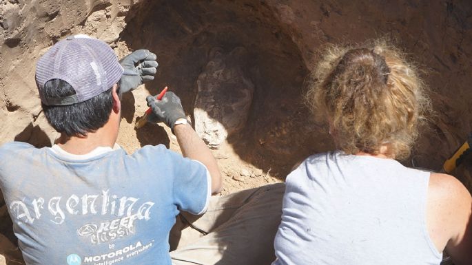 Espectacular hallazgo: Necochenses construían su casa y encontraron restos de un mamífero de la Edad de Hielo