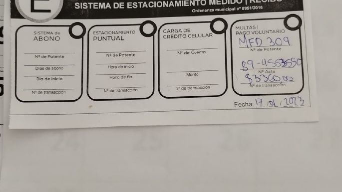 Robos, daños y aprietes a automovilistas en la Villa Balnearia: ¿Para qué se paga el Estacionamiento Medido?