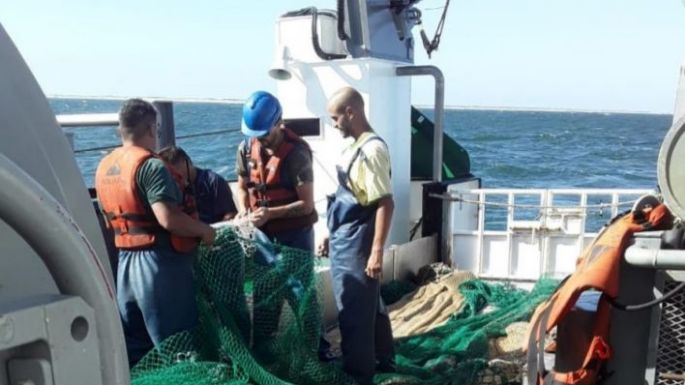 Comenzó un nuevo relevamiento de langostino frente a nuestras costas