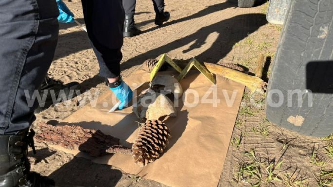 Imágenes: Investigan el misterioso hallazgo de un cráneo humano en el interior del Parque Miguel Lillo