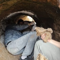 Estudiantes de Miramar hallaron el cráneo de un toxodonte y paleo cuevas en Bahía de los Vientos
