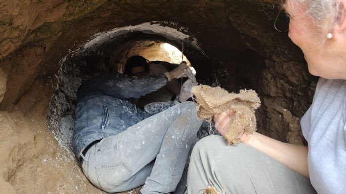 Estudiantes de Miramar hallaron el cráneo de un toxodonte y paleo cuevas en Bahía de los Vientos