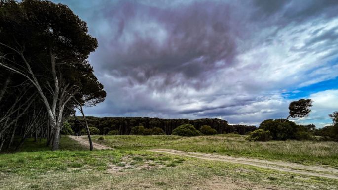 Cómo estará el clima en Necochea y Quequén este lunes 20-11