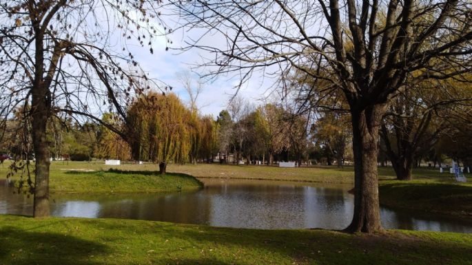 Concesionan cantina y fogones en el parque municipal de Lobería