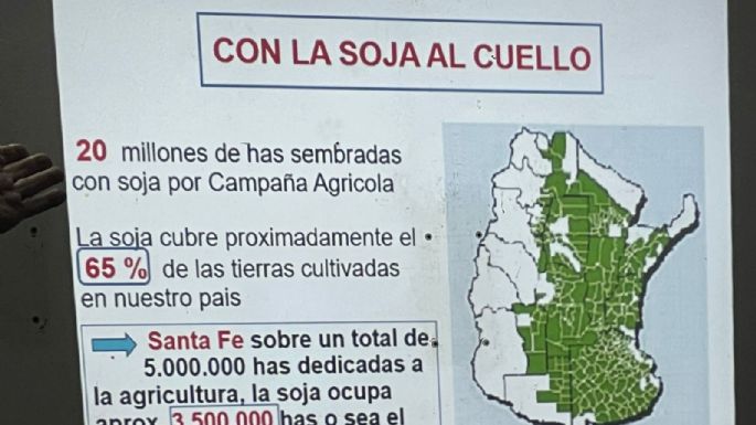 Agroquímicos: 300 millones de litros de glifosato cada año y un nuevo veneno que podría llegar al pan de cada familia