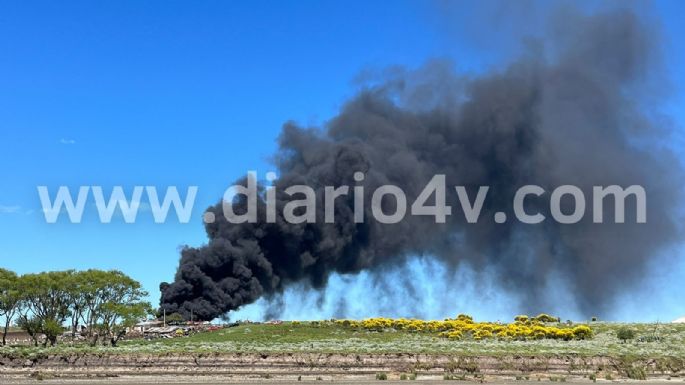 Video: Feroz incendio en una chacarita de Quequén