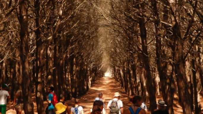 Festival Biocultural Aterriza: Tres días de salidas al parque, charlas y conciencia ambiental en Necochea