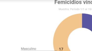 Alarmante: En Argentina hay casi un femicidio por día
