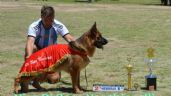 Una ovejera alemana de Necochea se consagró subcampeona nacional