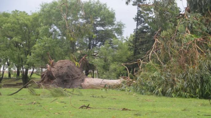 Un temporal causó destrozos en Olavarría y el municipio declaró el estado de Emergencia