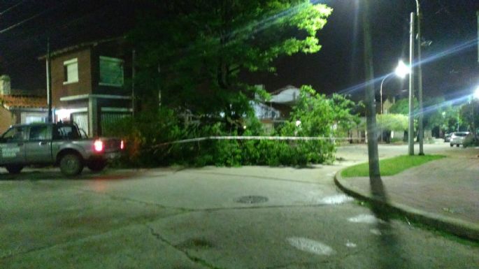 Lo que dejó el paso del temporal: Ráfagas de 92 km/h volaron techos, derribaron árboles y postes y la lluvia anegó calles