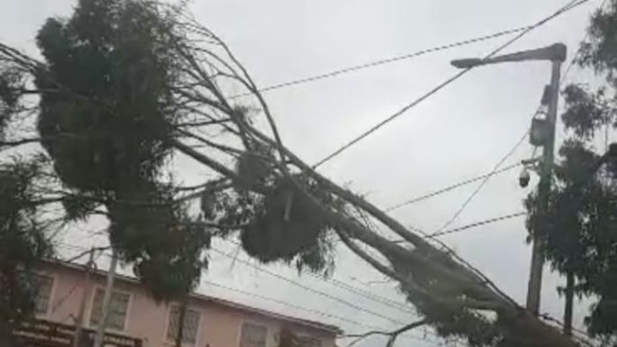 Temporal: La Usina pide paciencia por los daños ocasionados que afectan el servicio eléctrico