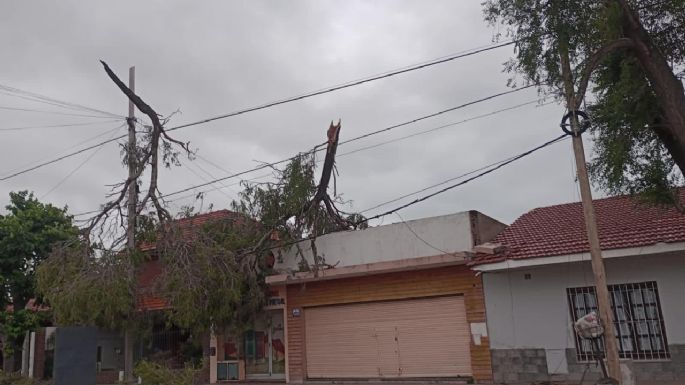 Tras el temporal, repararon más de 100 cables y repusieron 70 postes