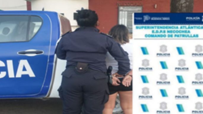 Día de furia: Le rompió la casa a su ex y se agarró a piñas con la policía