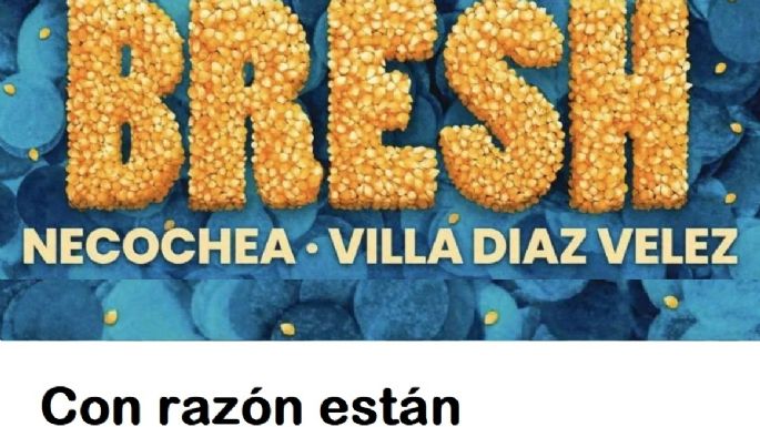 La Bresh en problemas: Un negocio para funcionarios y concejales que conocen todos pero nadie detiene