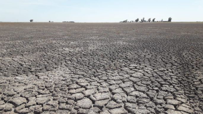 Se declaró la emergencia agropecuaria para San Cayetano