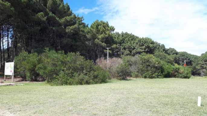 Rematan terrenos en Balneario San Cayetano: Lotes a metros del mar a pagar en cuotas