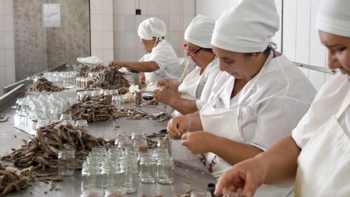 Jorge Alvaro en Engraucoop junto a las mujeres trabajadoras