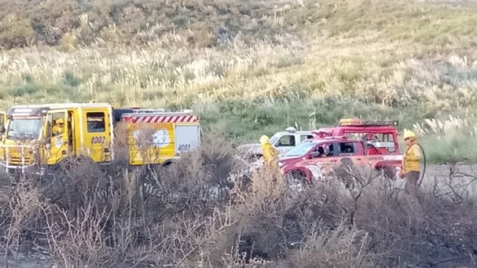 Monte Hermoso: Un incendio arrasó con más de 50 hectáreas de pastizales