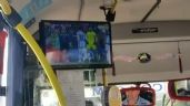 Los colectivos de Tandil instalaron TV para que los pasajeros no se aburran