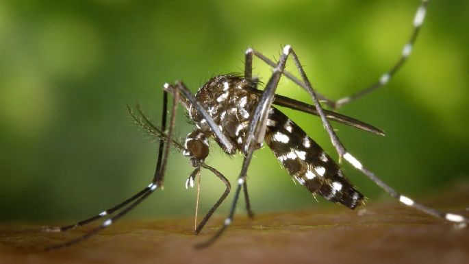 San Cayetano se suma a la campaña de prevención contra el Dengue, Zika y Chikungunya