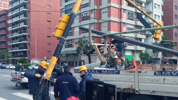 Un semáforo y varios árboles cayeron por el viento fuerte en Mar del Plata