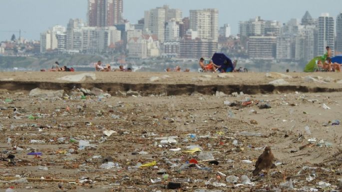 Mar del Plata: Proponen crear una Guardia Ecológica para mantener limpias las playas