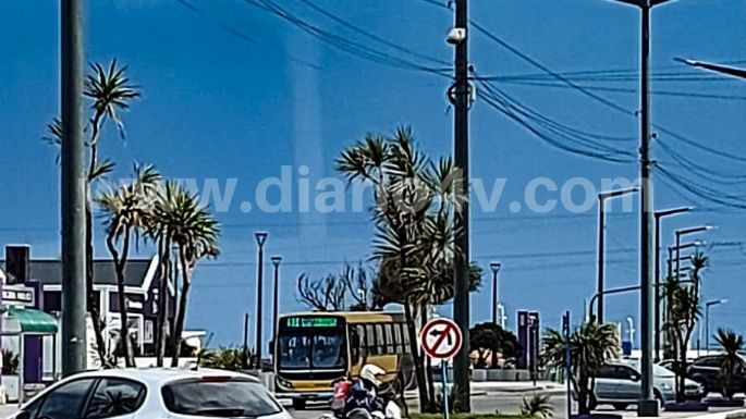 Tornado golpeó la zona balnearia de Necochea